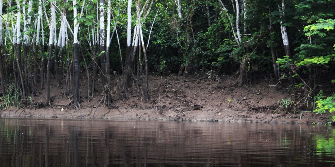 Samiria river amazon