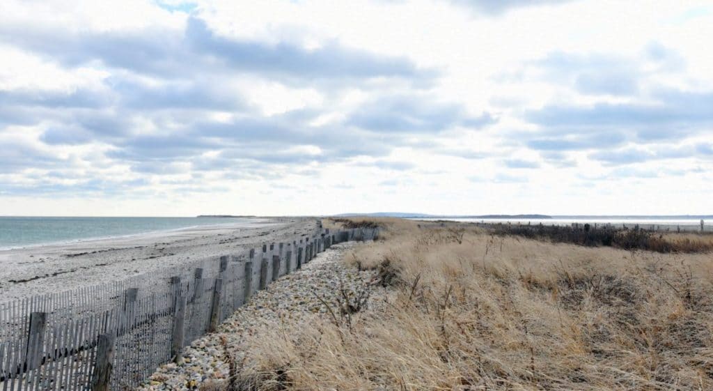 Duxbury beach conservation